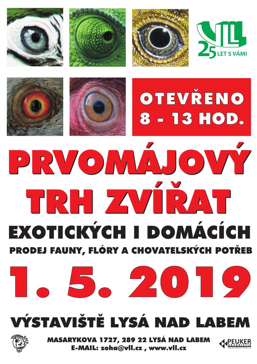 srpnovy trh 2019