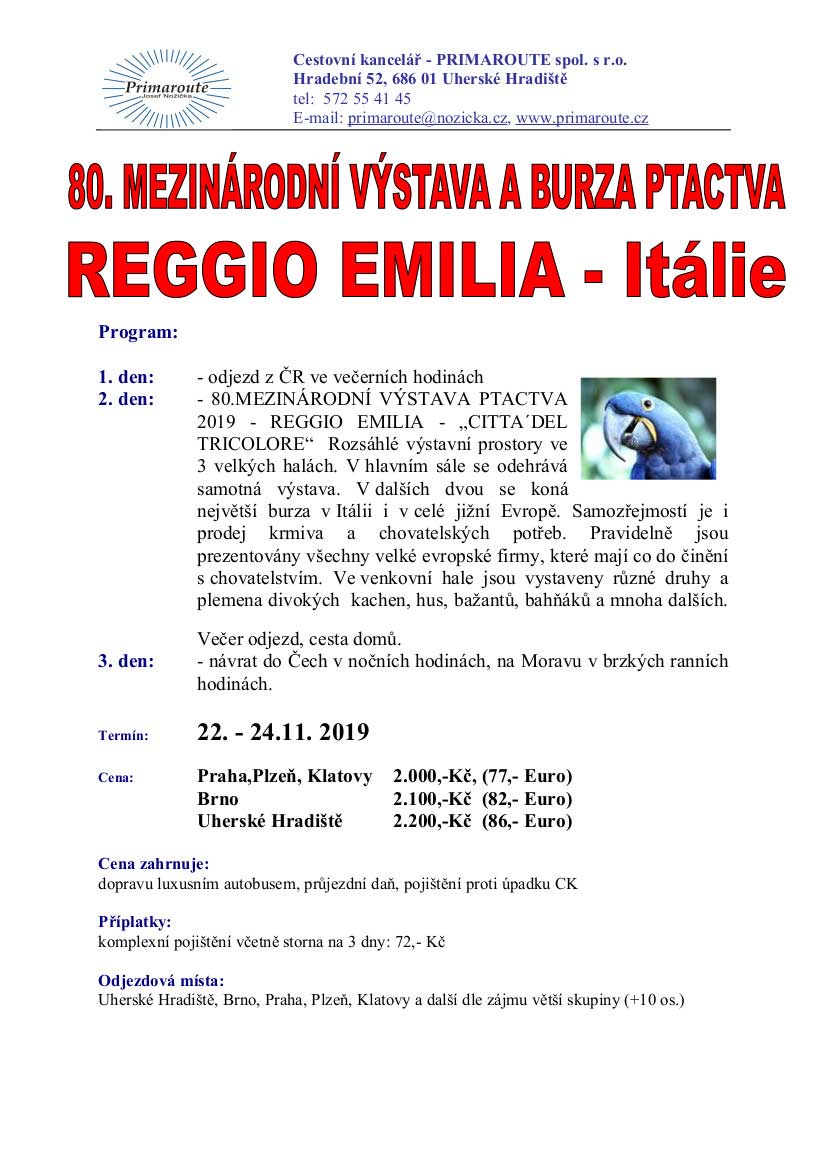 reggio program 2019