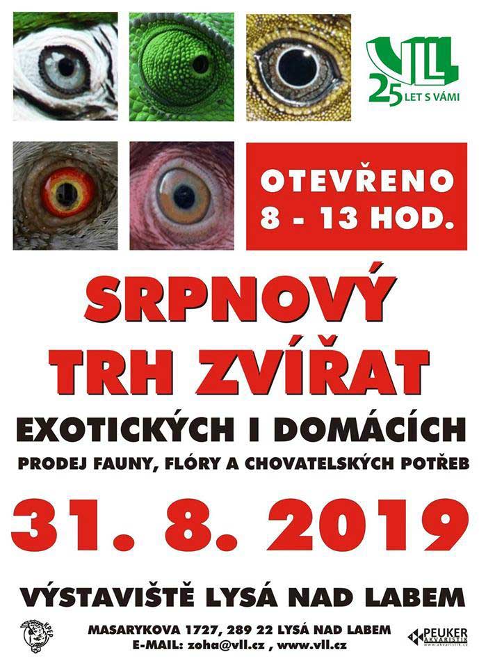 srpnovy trh 2019