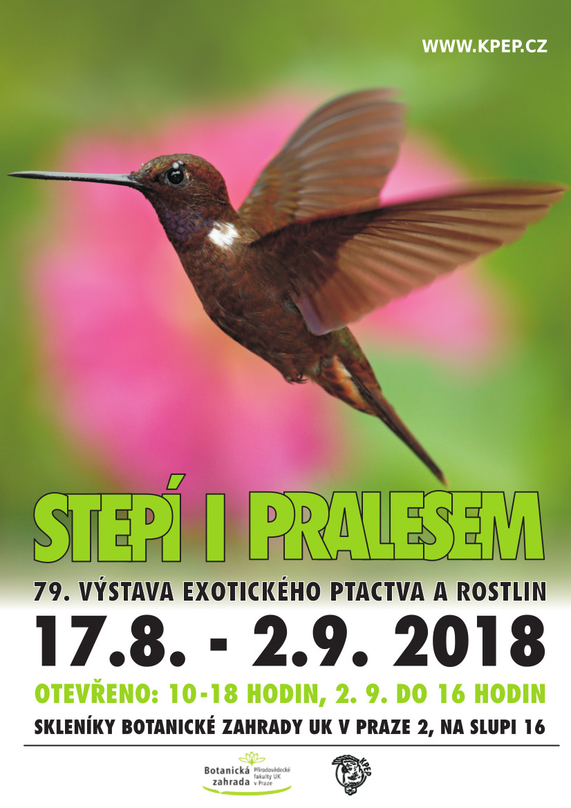 plakat BZUK 2018