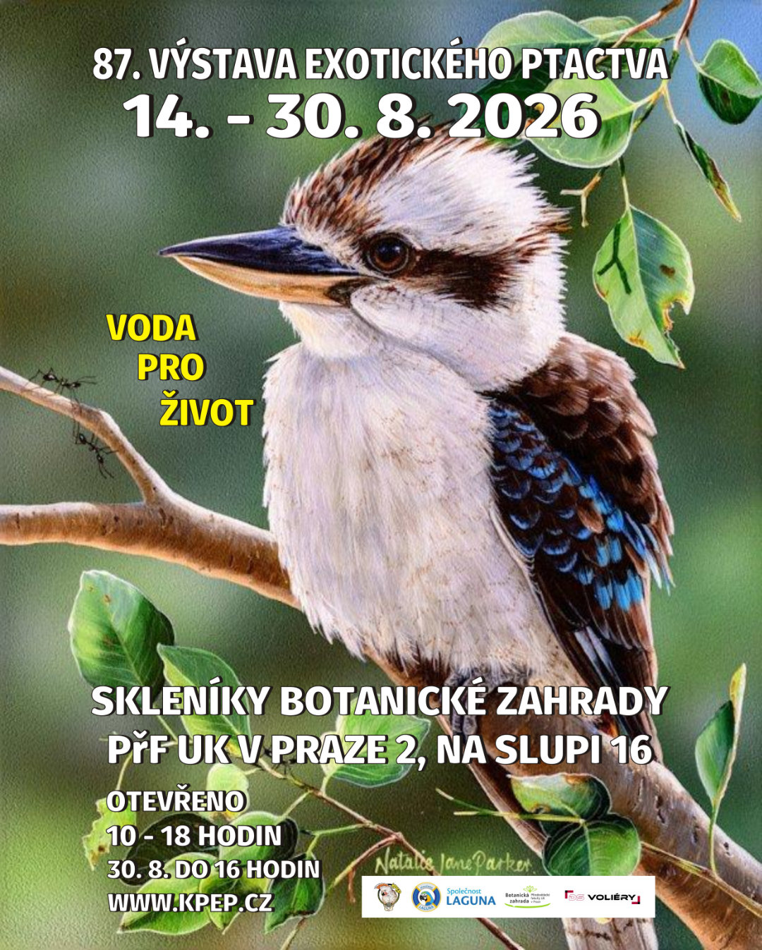 kpep bzuk 2024