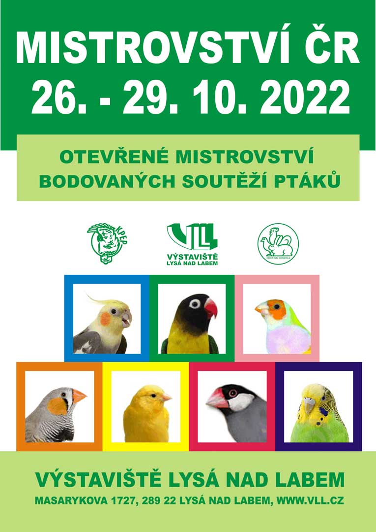 Otevřené mistrovství ČR 2022