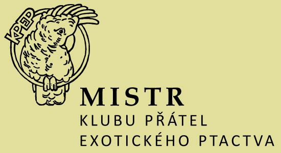 Vyhodnocení soutěže KPEP o titul "Mistr klubu" za rok 2005