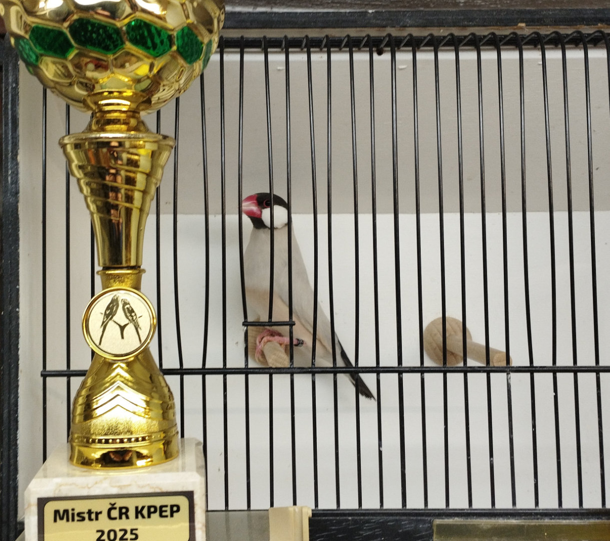 Mistrovství KPEP